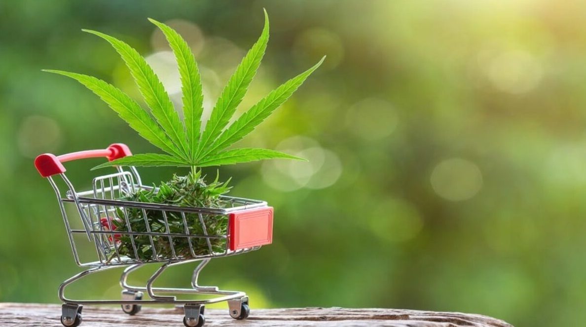 Infos sur l'achat en ligne de cannabis